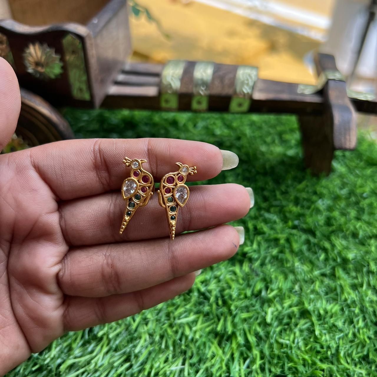 Parrot Stud Parrot Stud