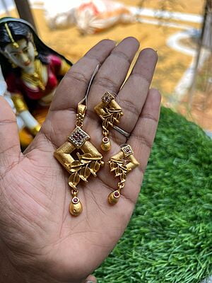 Fancy Design Dollar with earing